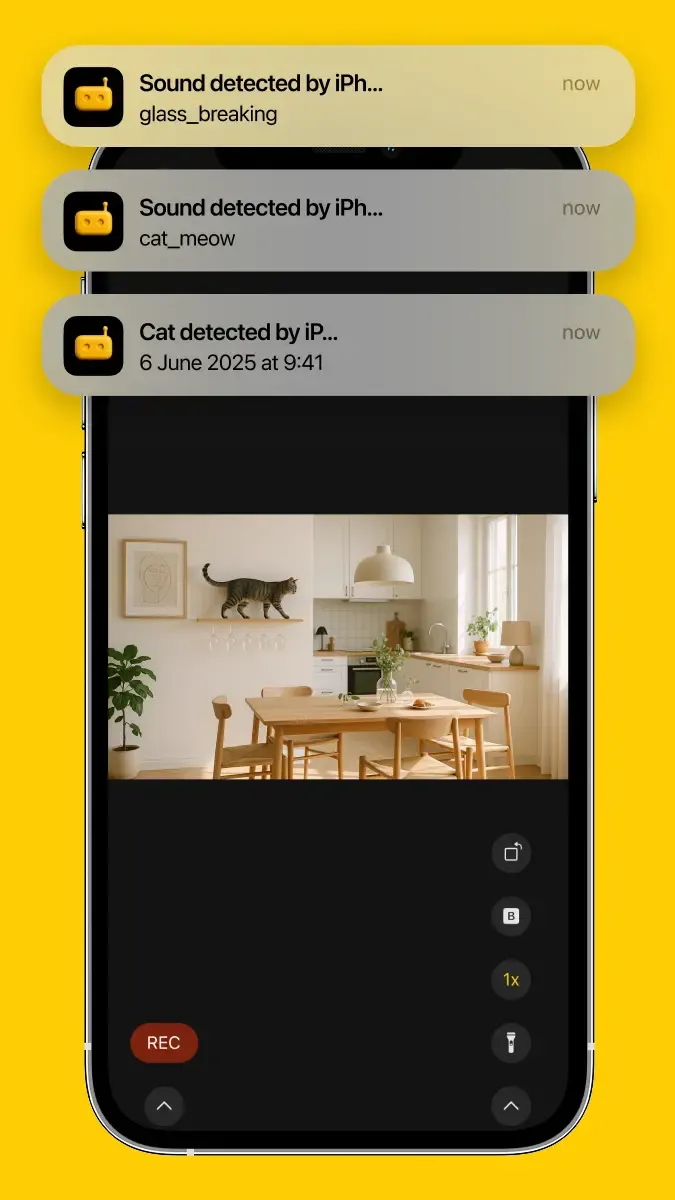 A dog at home, watched through the RECAM pet camera